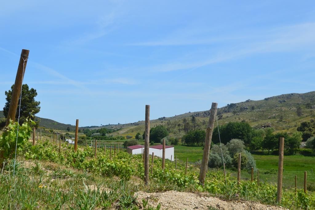 Vila Quinta Vale Da Prata Celorico Da Beira Exteriér fotografie
