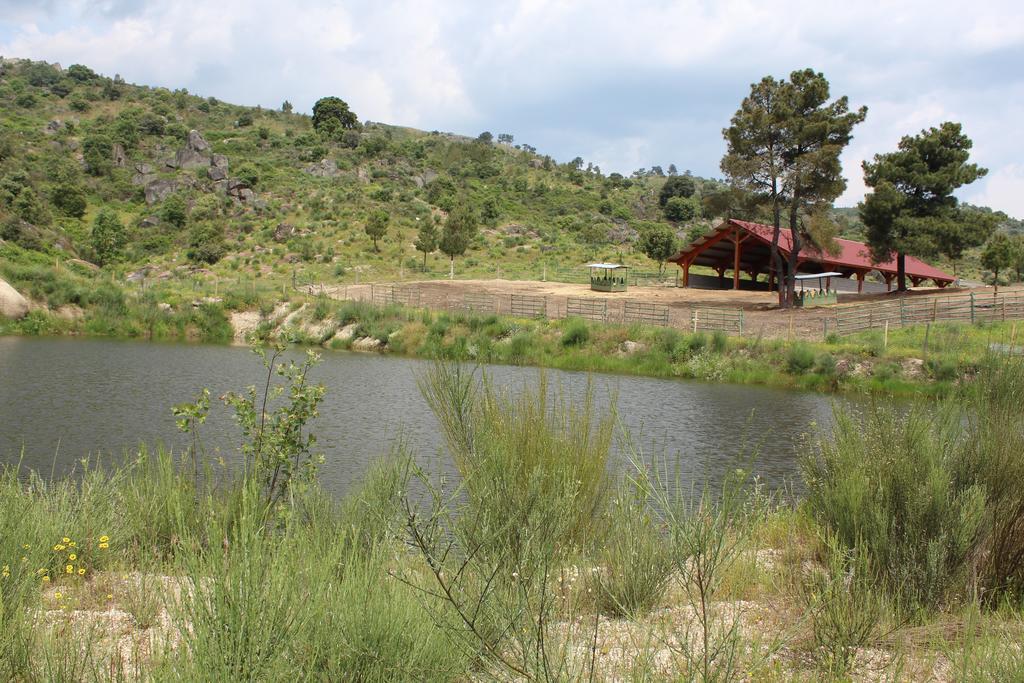 Vila Quinta Vale Da Prata Celorico Da Beira Exteriér fotografie